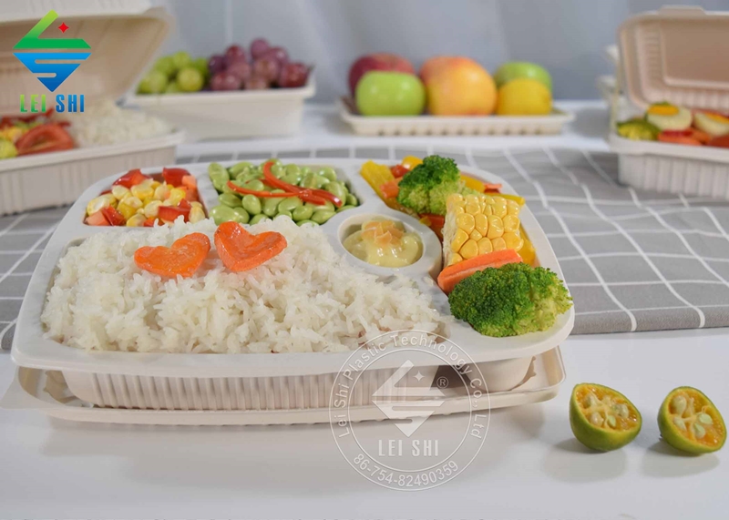 five-compartment bento box